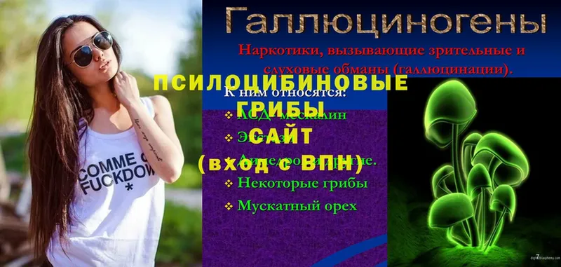 Галлюциногенные грибы прущие грибы  как найти закладки  Зарайск 